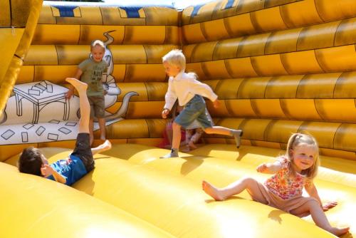 IMG 6842 (1)
